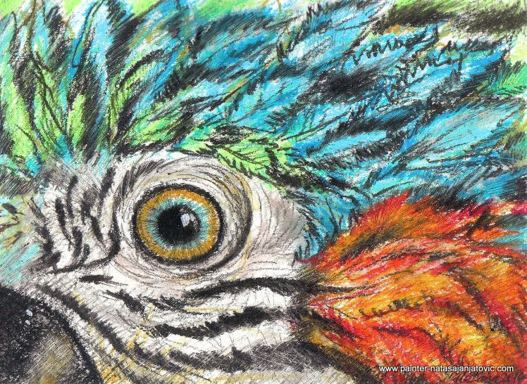 GLAVA PAPAGAJA/PARROT'S HEAD, voštani pastel na papiru/oil pastel on paper, 20x28 cm 